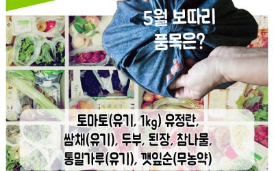 건강한 5월 대청호보따리 신청하세요!