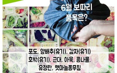 면역력 UP ! 제철밥상 6월 대청호보따리가 왔어요~