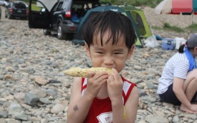 옥수수 따러 배바우 마을 다녀왔어요~