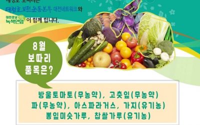 8월 대청호보따리가 왔어요~