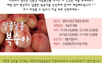 대청호마을 싱싱한 '복숭아' 직거래해요~