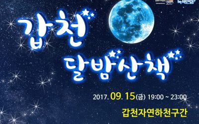 [모집] 갑천 달밤 산책 안내 드립니다^^