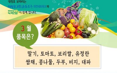 대청호보따리가 왔어요~