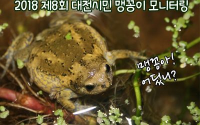 [모집]제8회 맹꽁이 모니터링! 같이 맹꽁이 보러가요~