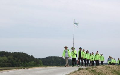 [참가신청]22회 녹색순례 ‘걷고, 걷자’