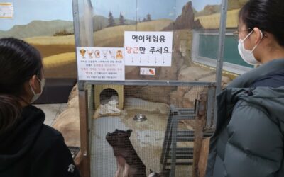 [보도자료] 대전 아쿠아리움, 오월드, 티놀자 애니멀파크 시민모니터링 결과발표