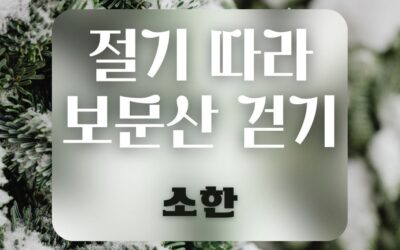 [회원동아리] 절기 따라 보문산 걷기 소한 참가자 모집해요!