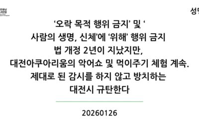[성명]‘오락 목적 행위 금지’ 및 ‘사람의 생명, 신체’에 ‘위해’ 행위 금지  법 개정 2년이 지났지만, 대전아쿠아리움의 악어쇼 및 먹이주기 체험 계속. 제대로 된 감시를 하지 않고 방치하는 대전시 규탄한다