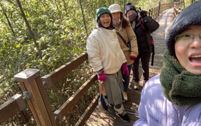 대한의 보문산은 생명이 가득!