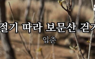 [회원동아리] 절기 따라 보문산 걷기-입에도 보문산 걷기!