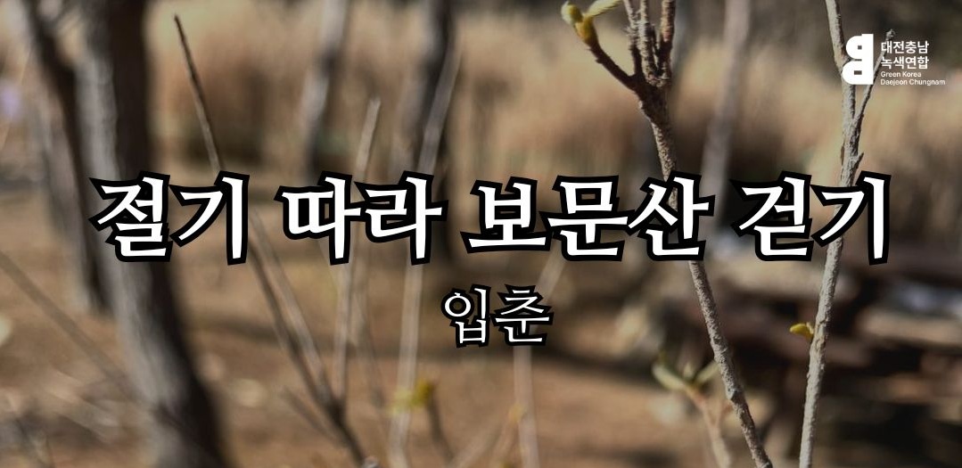 절기따라 보문산 걷기1.jpg