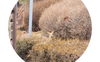[회원동아리] 절기 따라 보문산 걷기-우수에 땅의 기운 느끼며 함께 걸어요!