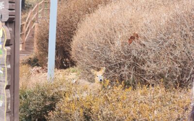 2026년 첫 절기! 입춘에 보문산을 걸었어요!