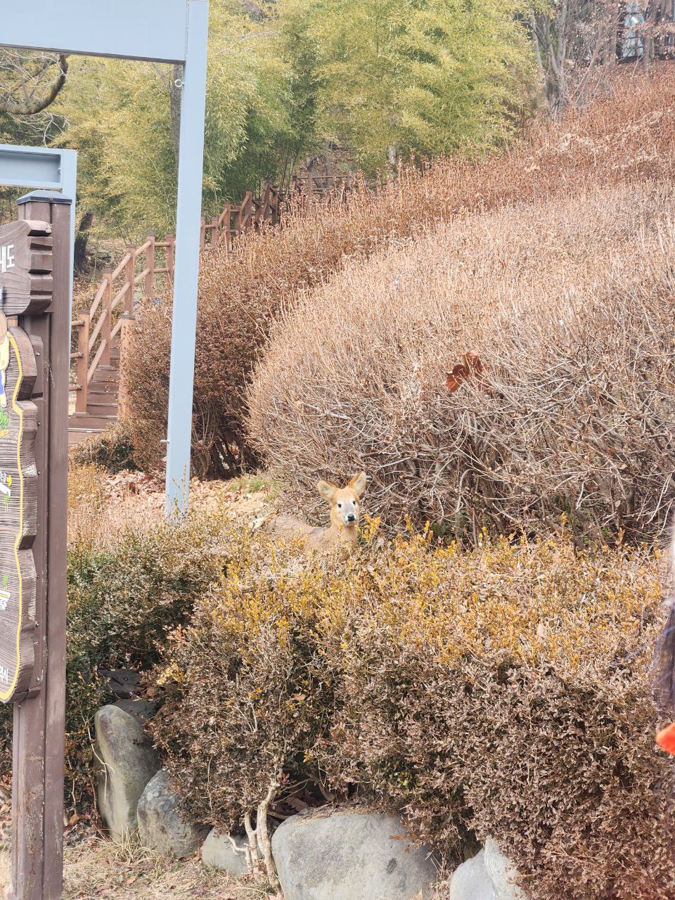 photo_2026-02-19_15-19-59