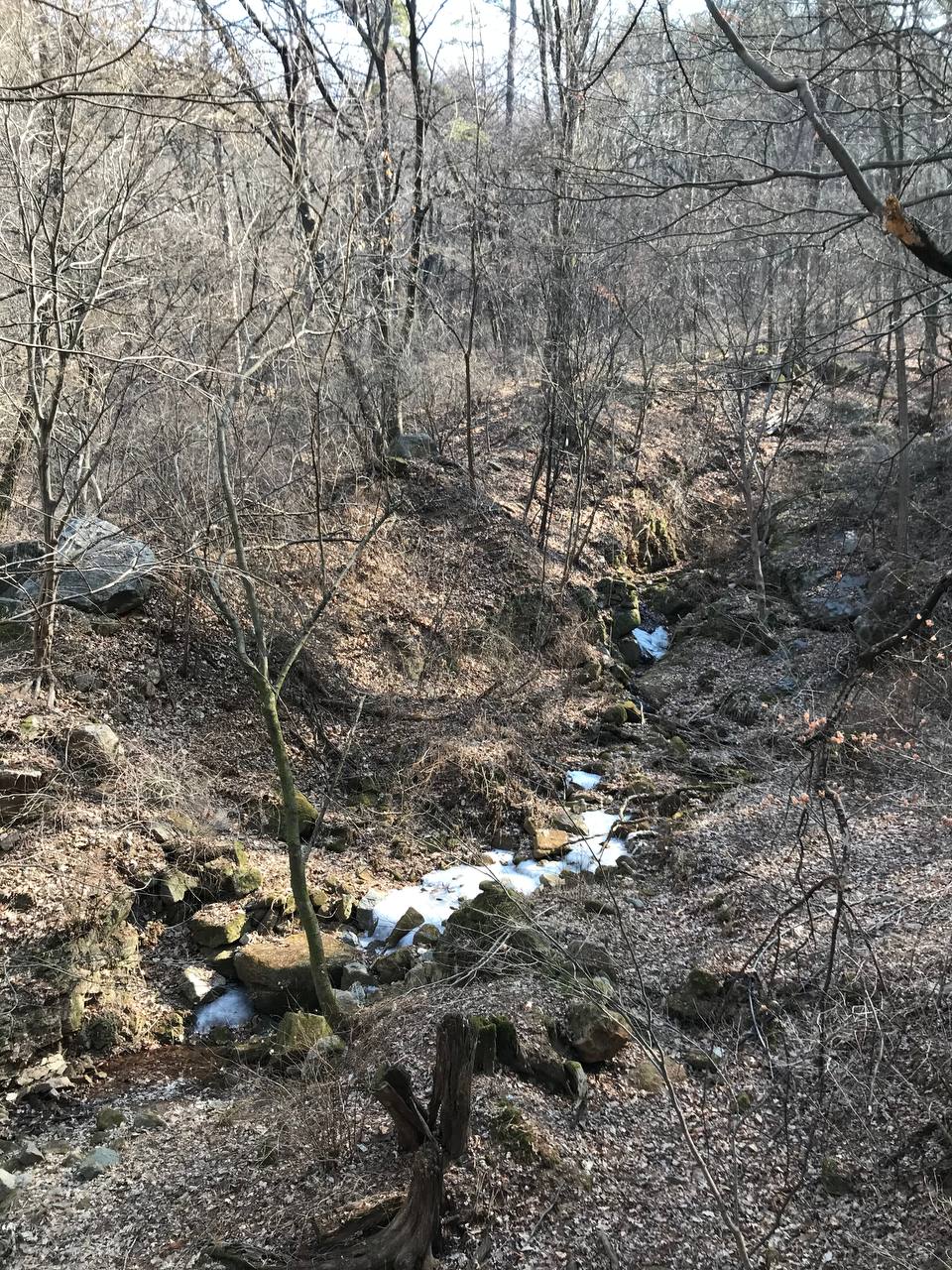 photo_2026-02-26_14-50-51