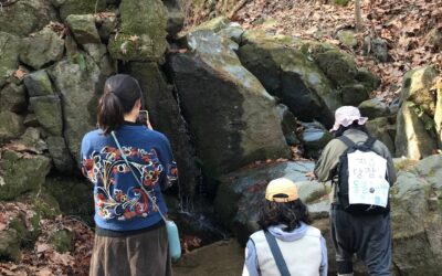 [회원동아리] 절기 따라 보문산 걷기, 경칩에는 보문산은 맑은 물소리와 함께 걸었어요.